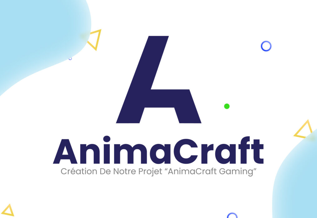 Création du projet AnimaCraft Gaming